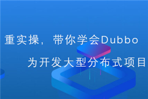 从入门到深入Dubbo分布式系统视频教程插图