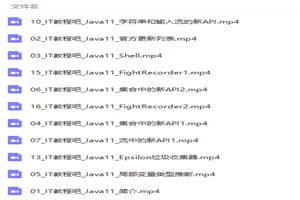 最新Java11新特性完整视频教程插图