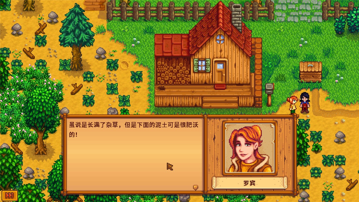 星露谷物语/Stardew Valley插图3