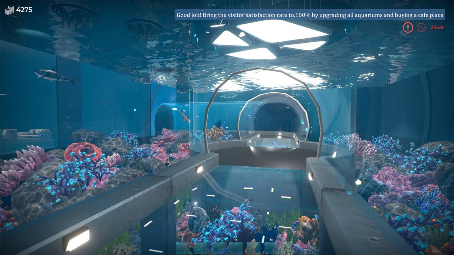 Aquarist – 建造水族馆，养鱼，发展你的事业！插图1