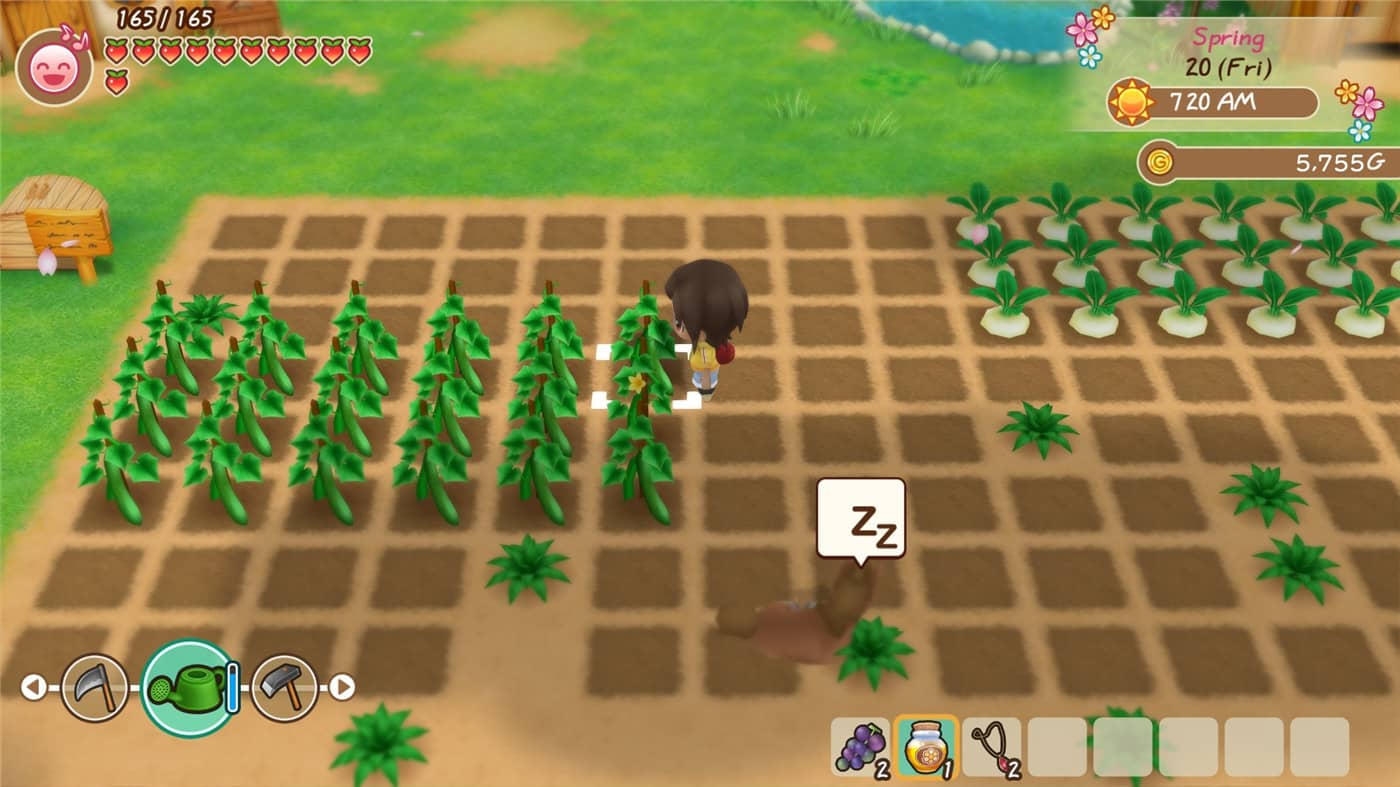 牧场物语：重聚矿石镇,牧场物语再会矿石镇的伙伴,Story of Seasons: Reunion in Mineral Town插图1