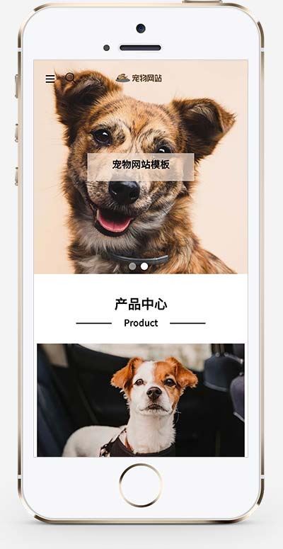 (自适应手机端)宠物商店宠物网站源码 宠物装备类网站pbootcms模板插图1