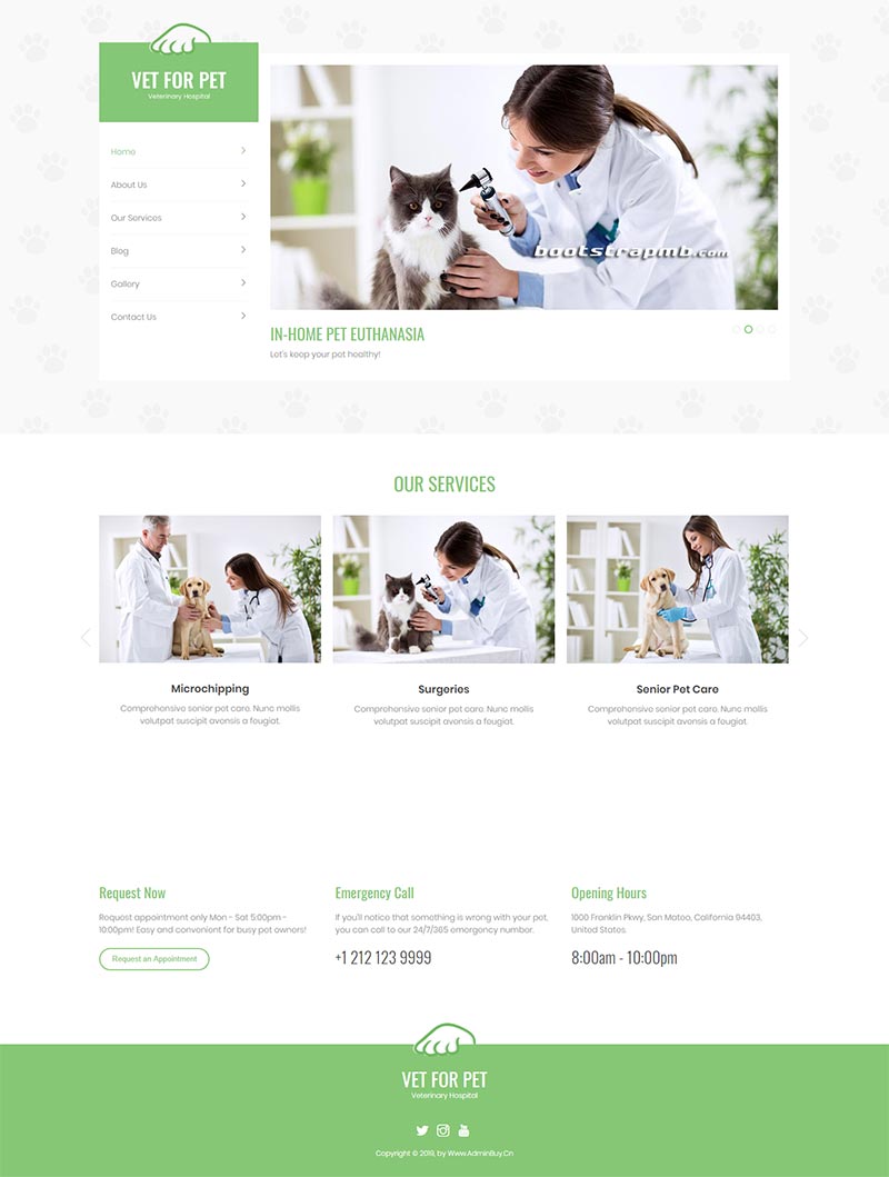 绿色宠物医院静态网站Bootstrap模板插图
